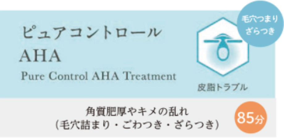 ピュアコントロール AHA Pure Control AHA Treatment 角質肥厚やキメの乱れ（毛穴詰まり・ごわつき・ざらつき）85分